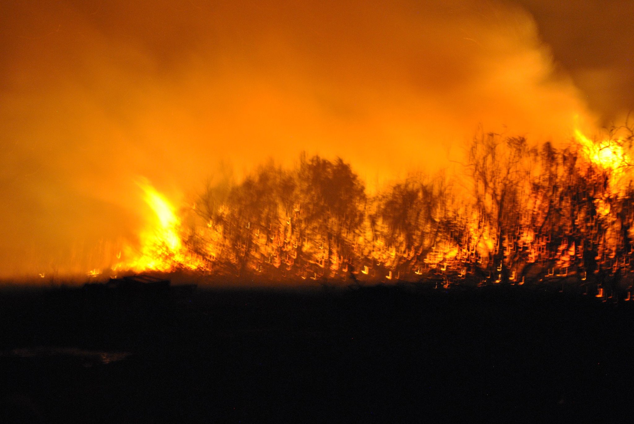 Σε ύφεση η πυρκαγιά την Μεσσηνία – Εγιναν στάχτη 2.000 στρέμματα