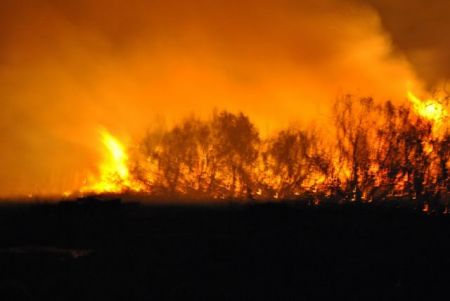 Τη Δευτέρα τα αποτελέσματα της αντιπυρικής