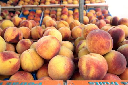 Δωρεάν διανομή ροδάκινων από τον Δήμο Χαλανδρίου