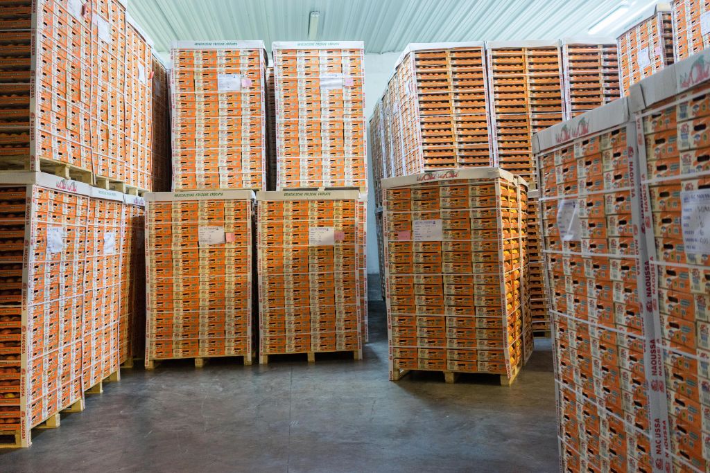 Τα μέτρα στήριξης της ΕΕ για τα ελληνικά ροδάκινα και τα νεκταρίνια