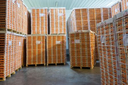 Τα μέτρα στήριξης της ΕΕ για τα ελληνικά ροδάκινα και τα νεκταρίνια