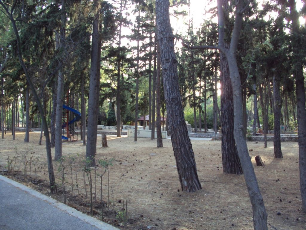 Eργα αναβάθμισης του Αλσους Νέας Φιλαδελφείας