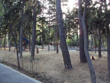 Eργα αναβάθμισης του Αλσους Νέας Φιλαδελφείας