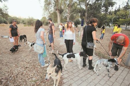 Εκτονώνουν πάνω στα ζώα την κρυμμένη επιθετικότητα