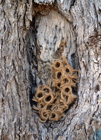 Where my Soul lives: η νέα εγκατάσταση της Σταυρούλας Καζιάλε