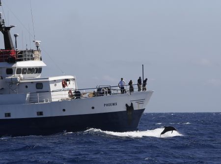 Ιταλία: Μουσουλμάνοι μετανάστες έριξαν στη θάλασσα χριστιανούς συνταξιδιώτες