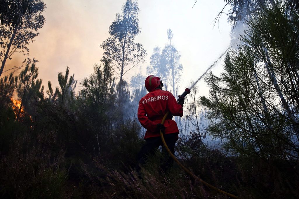 Μάχη με τις φλόγες δίνουν εκατοντάδες πυροσβέστες στην Πορτογαλία