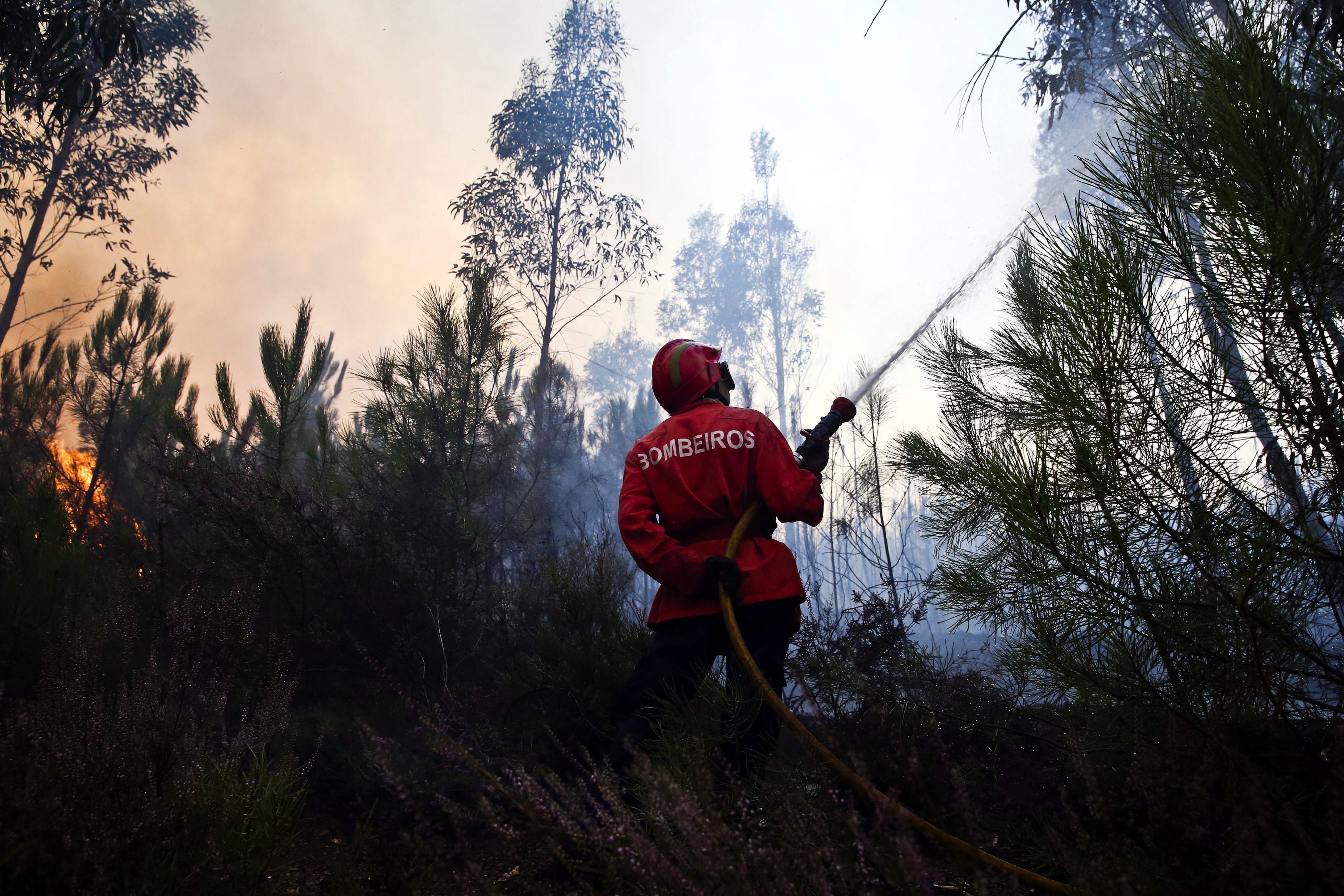 Μάχη με τις φλόγες δίνουν εκατοντάδες πυροσβέστες στην Πορτογαλία