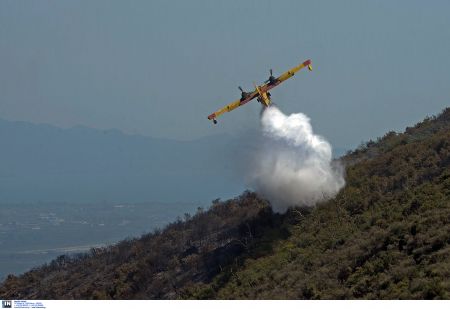 Σε ύφεση η φωτιά στον Αγιο Ιωάννη Βόρειας Κυνουρίας