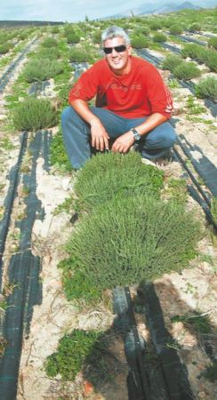 Organic Islands: Αρωματικά φυτά από τη Νάξο σε Δανία και Αυστραλία