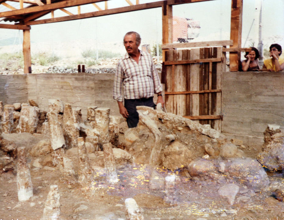 Δημήτρης Λαζαρίδης – Μανόλης Ανδρόνικος: βίοι παράλληλοι, πορείες αποκλίνουσες