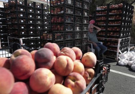 Ορίστηκαν ενισχύσεις για παραγωγούς που επλήγησαν από το εμπάργκο