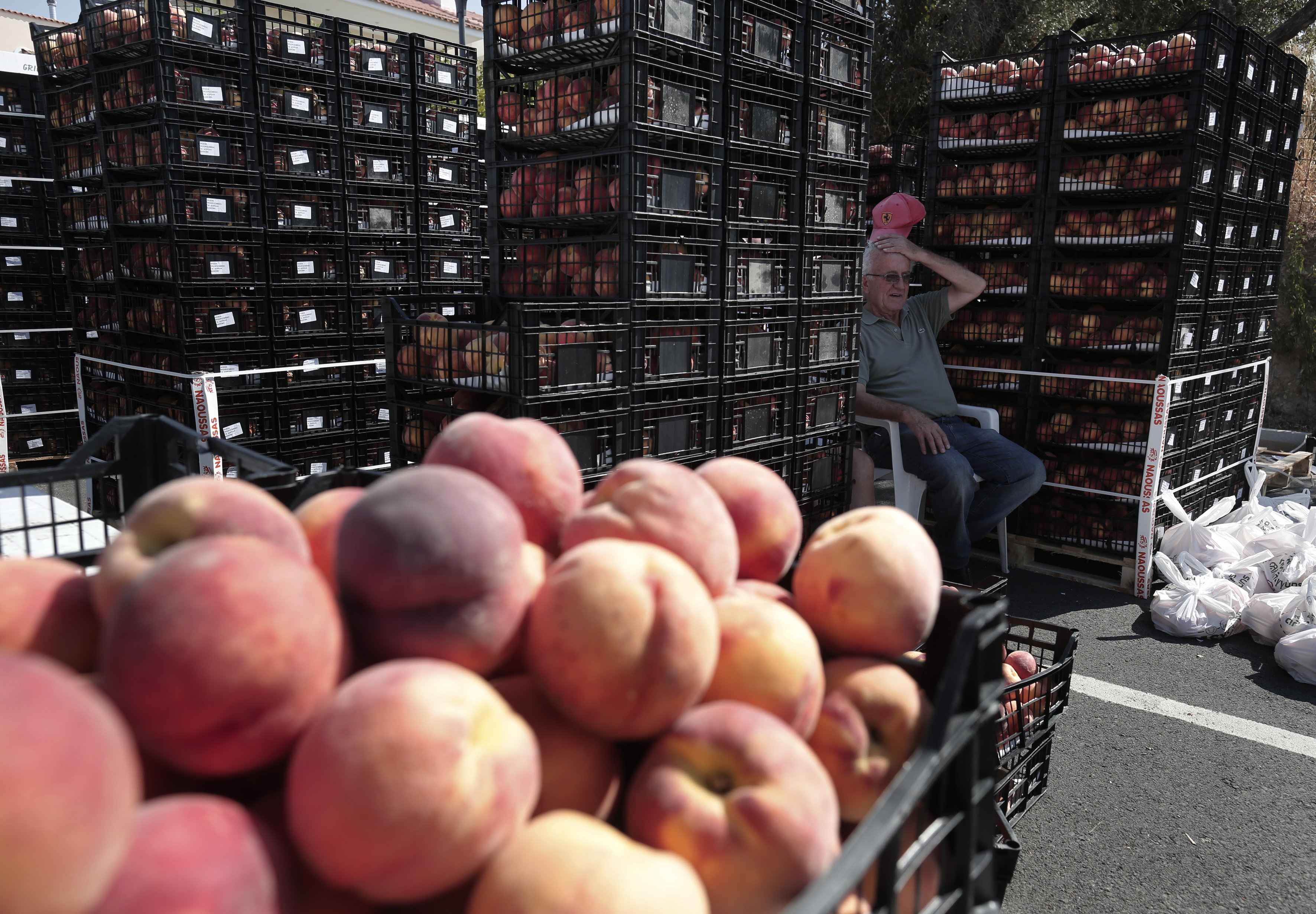Ορίστηκαν ενισχύσεις για παραγωγούς που επλήγησαν από το εμπάργκο