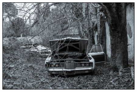 Το Τατόι σήμερα