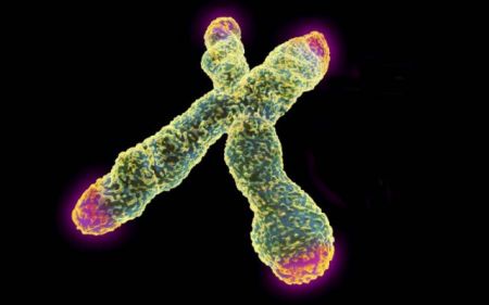 Η ορθοστασία «παρατείνει τη ζωή»