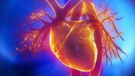 Παλλόμενο καρδιακό επίθεμα επιδιορθώνει την καρδιά