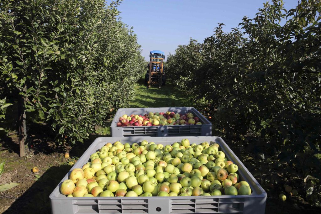 Οι ευρωπαίοι αγρότες τα μεγάλα θύματα του ρωσικού εμπάργκο