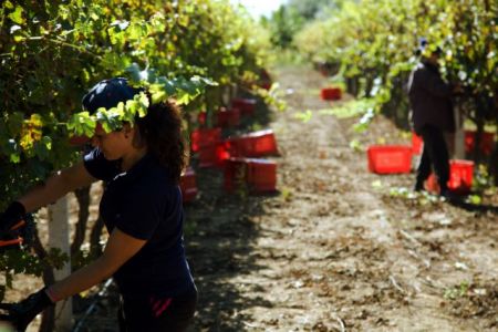 Μην πετάς ό,τι περισσεύει από το χωράφι