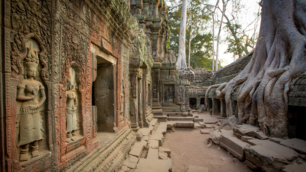Καμπότζη: Αρχαιολόγοι «βλέπουν» με λέϊζερ χαμένη πόλη στη ζούγκλα