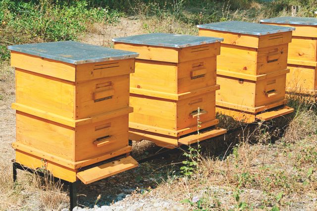 Τα «έξυπνα» μελίσσια έφθασαν