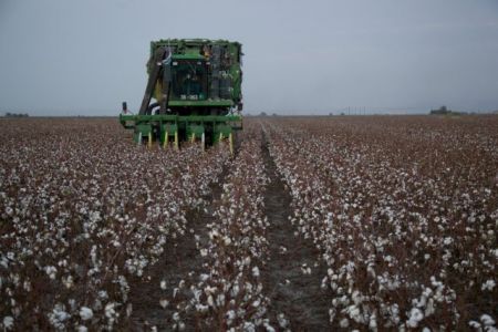 Κονδύλι €2,8 δισ. στους έλληνες παραγωγούς ως το τέλος του έτους