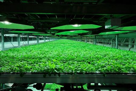 Οι θεραπείες που υπόσχονται σωτηρία