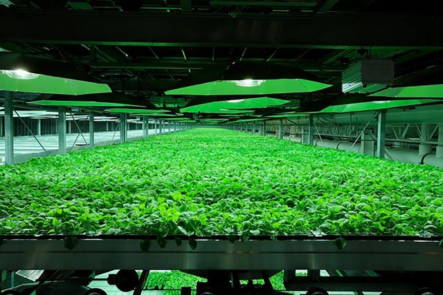 Οι θεραπείες που υπόσχονται σωτηρία