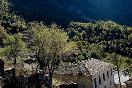 Ζαγόρι: Ανθη της πέτρας