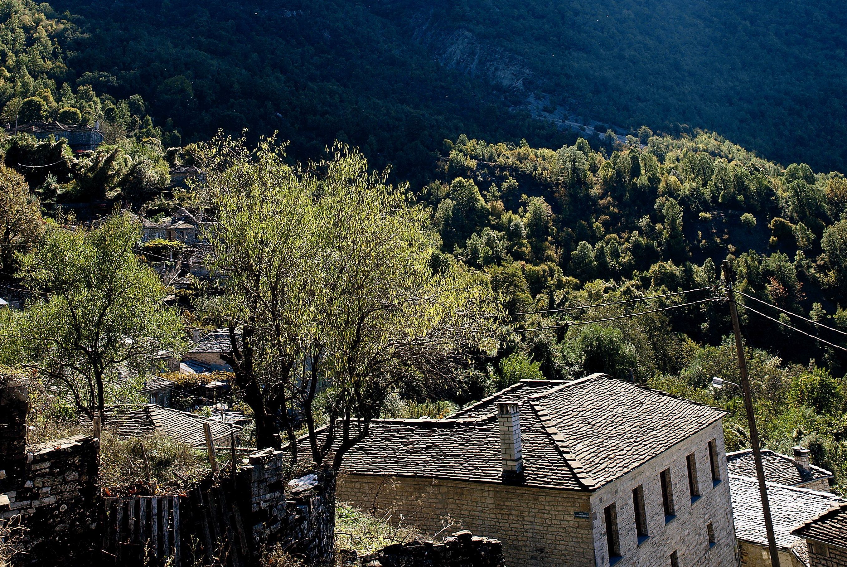 Ζαγόρι: Ανθη της πέτρας
