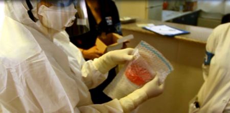 KEELPNO: “No Ebola” outbreak on-board the Magda P