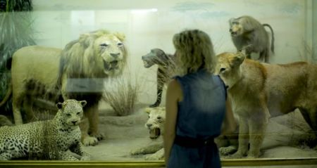 Αψυχολόγητος πατριωτισμός