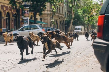 55ο Φεστιβάλ Θεσσαλονίκης: Αυλαία και LUX