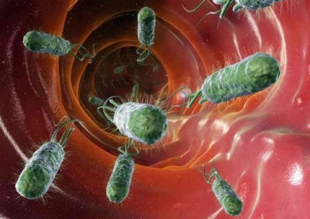 Εντερικά βακτήρια βοηθούν στη διάγνωση του καρκίνου παχέος εντέρου