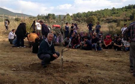 Τουρκία: Σκάνδαλο με καταστροφή ελαιώνα για να χτιστεί εργοστάσιο