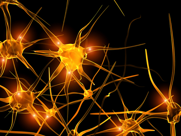 «Μεταμόρφωση» κυττάρων, ελπίδα για εγκεφαλικά και επιληψία