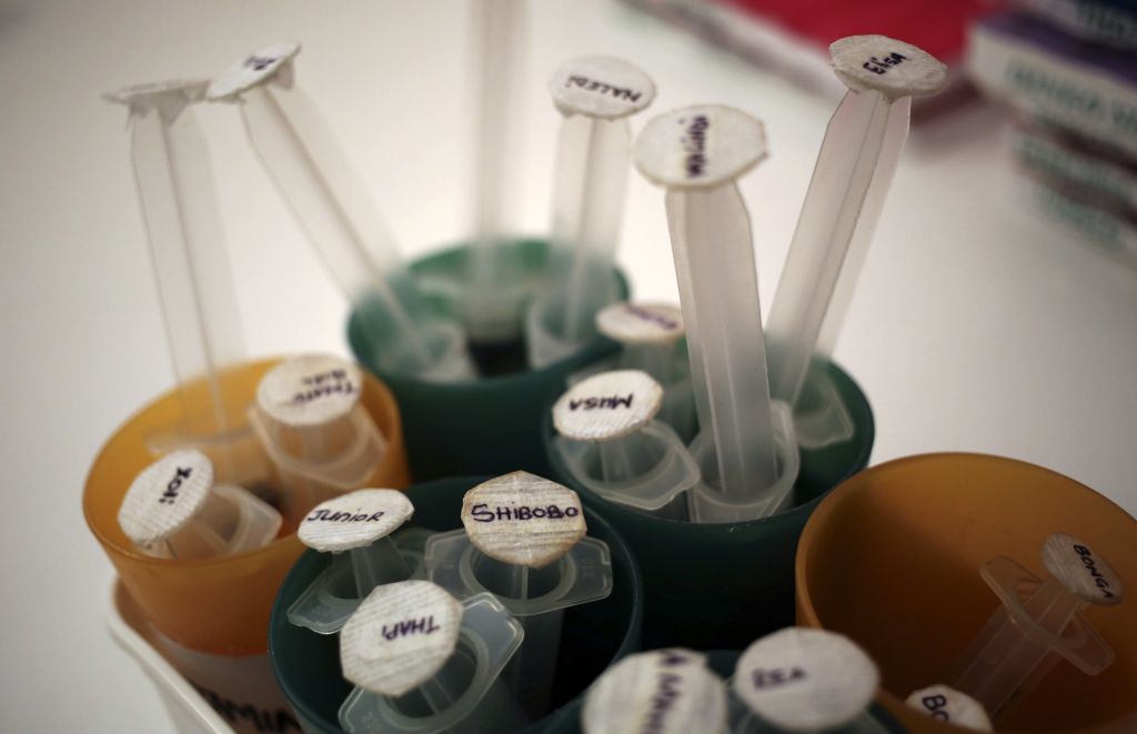 1η Δεκεμβρίου: Παγκόσμια ημέρα κατά του AIDS