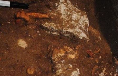 Ministry publishes photograph of Amphipolis tomb skeleton
