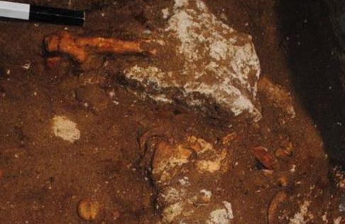 Ministry publishes photograph of Amphipolis tomb skeleton