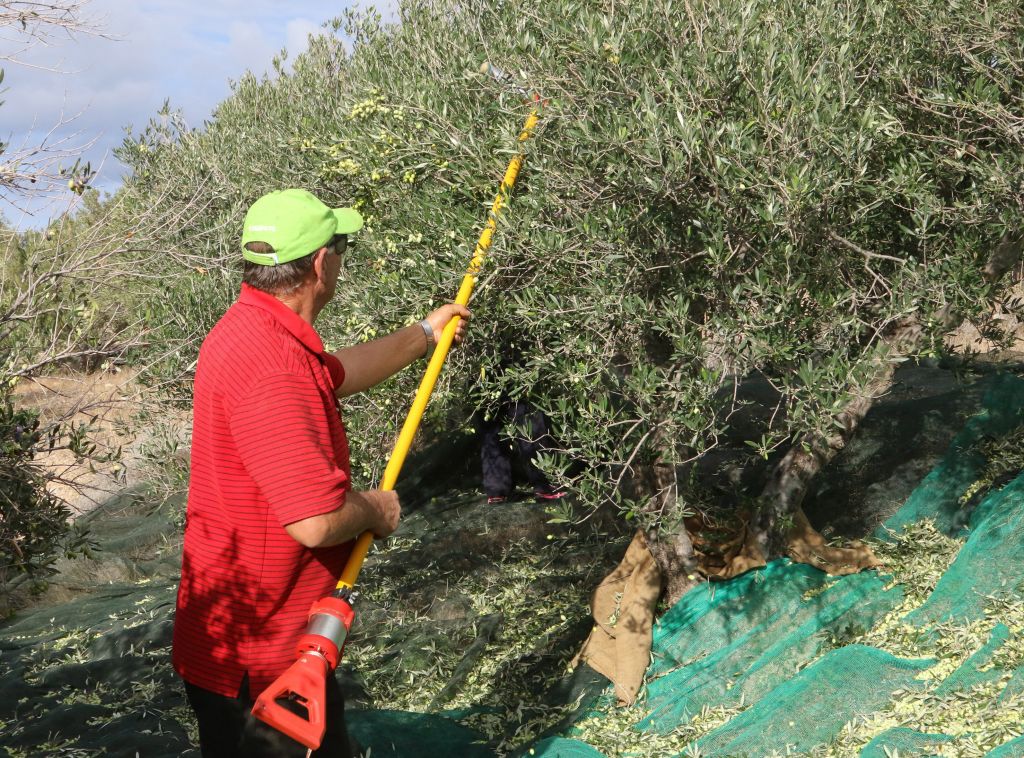 Παράταση χρόνου υποβολής των δηλώσεων Ενιαίας Ενίσχυσης