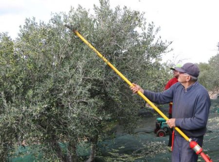 Αύξηση 4,8% στις τιμές εκροών στην γεωργία-κτηνοτροφία