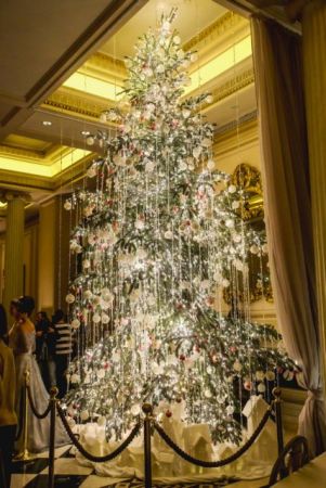 Φωταγώγηση του Χριστουγεννιάτικου δέντρου στο Ξενοδοχείο Μεγάλη Βρεταννία