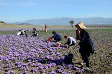Ταυτότητα για τους προορισμούς οι γεύσεις και τα προϊόντα