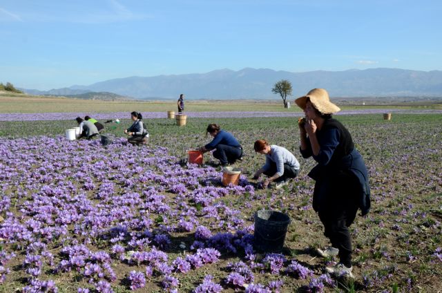 Ταυτότητα για τους προορισμούς οι γεύσεις και τα προϊόντα