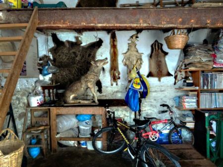 Μαρία Παπαδημητρίου: Ανθρωποι και ζώα