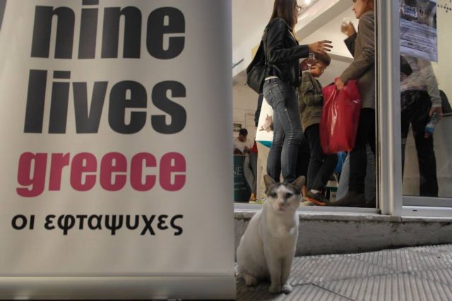 «Εφτάψυχες» εθελόντριες για τις αδέσποτες γάτες των Αθηνών