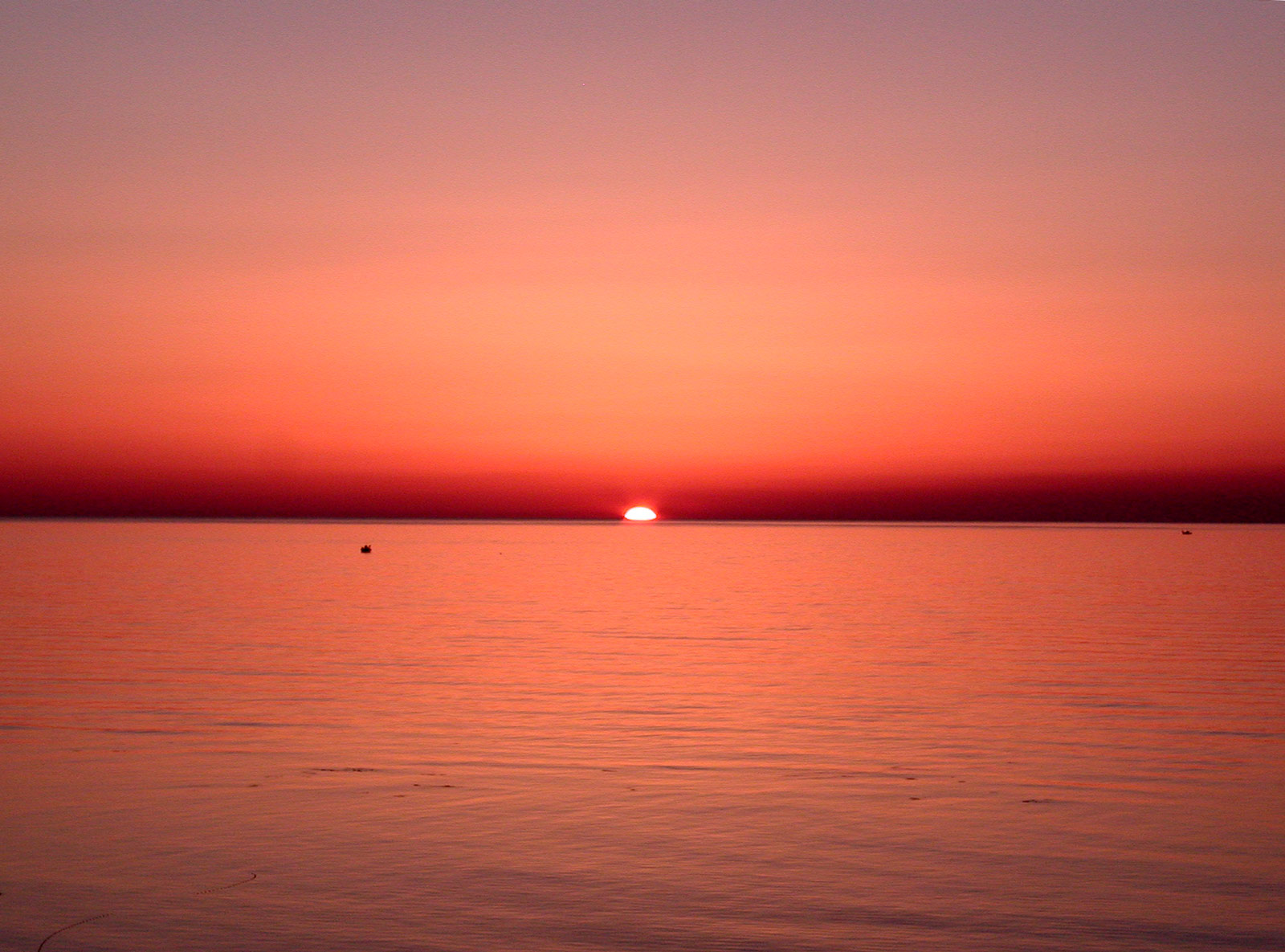 Moving on from the “hopeful” 2014 to an agonizing 2015