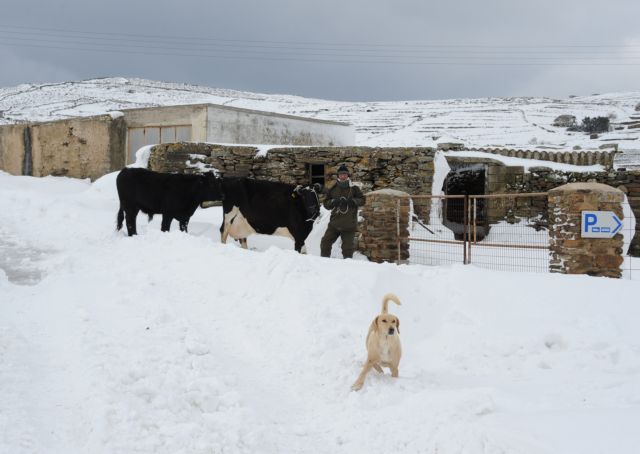 Cold weather front begins to retreat – Power restored on Tinos