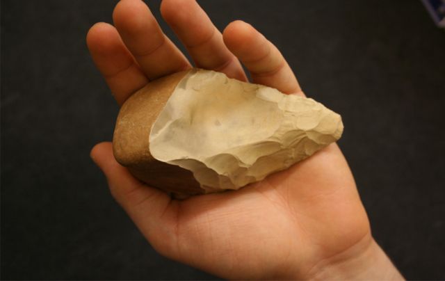 H γλώσσα εμφανίστηκε «για να βοηθά στην κατασκευή εργαλείων»