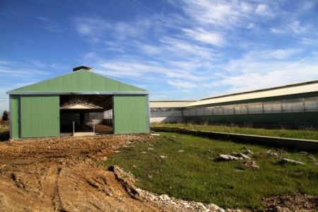 Δημόσιοι κτηνίατροι έδιναν ψευδείς ιατρικές πιστοποιήσεις