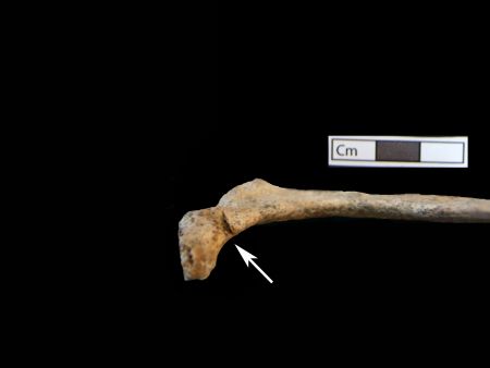 ΥΠΠΟ:Απαντά στα δημοσιεύματα για την Αμφίπολη